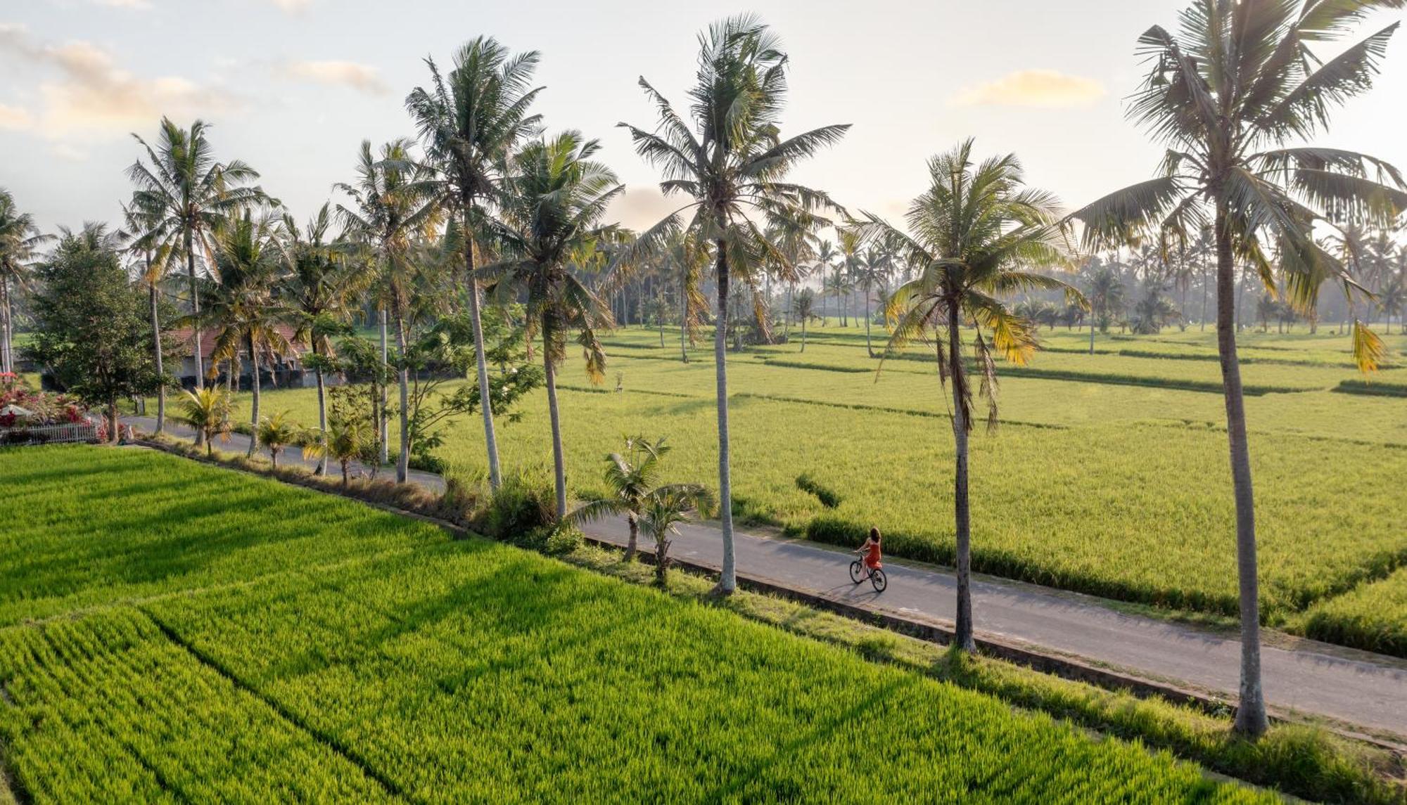 Thewakanda Resort A Pramana Experience Ubud  Exterior photo